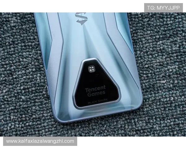 凯发客户端登录全流程详解帮助玩家顺利进入游戏体验最佳娱乐体验